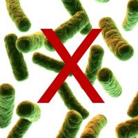 Anti-Bacteria