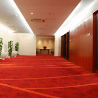 Great for Carpets