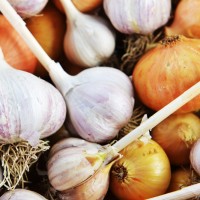Reduces Food Odours Effectively