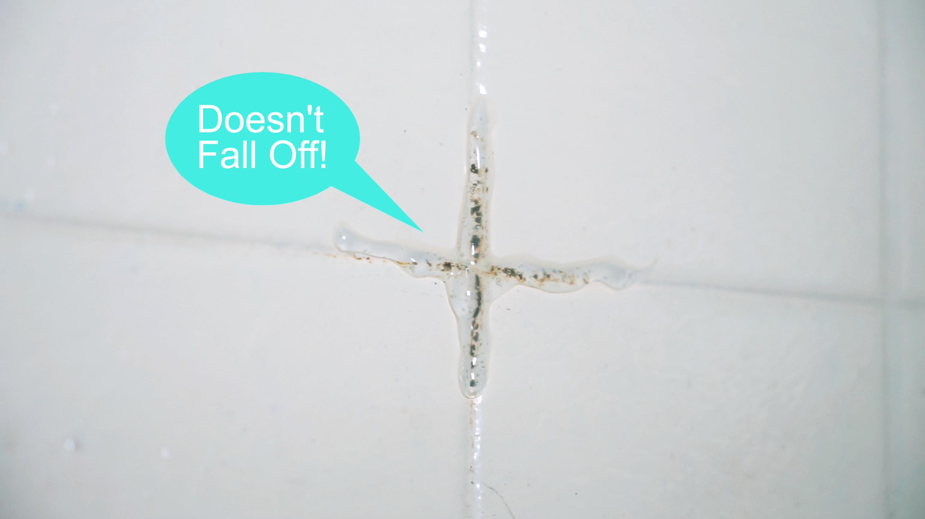 Able to cling on the wall