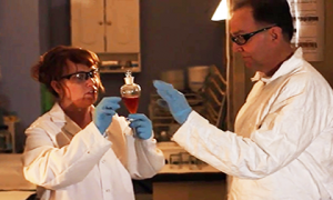 Walex Lab