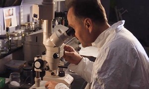 Lab_3_web